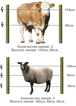 Избранные статьи