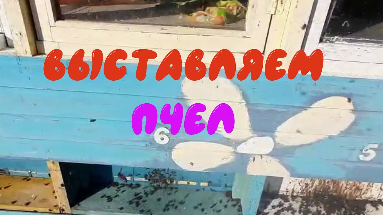 Подготовка пасеки