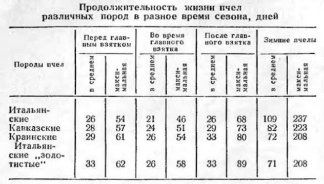 Инструкция по применению