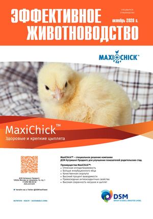 Одной из причин такого высокого уровня занятости в птицеводстве является его значимость для продовольственной безопасности страны. США являются одним из ведущих производителей и экспортеров птицеводческой продукции в мире. Мясо птицы является одним из самых доступных и популярных продуктов на данный момент.