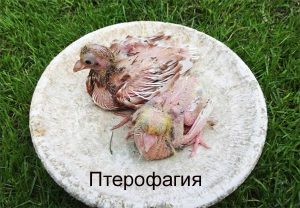 3. Стресс