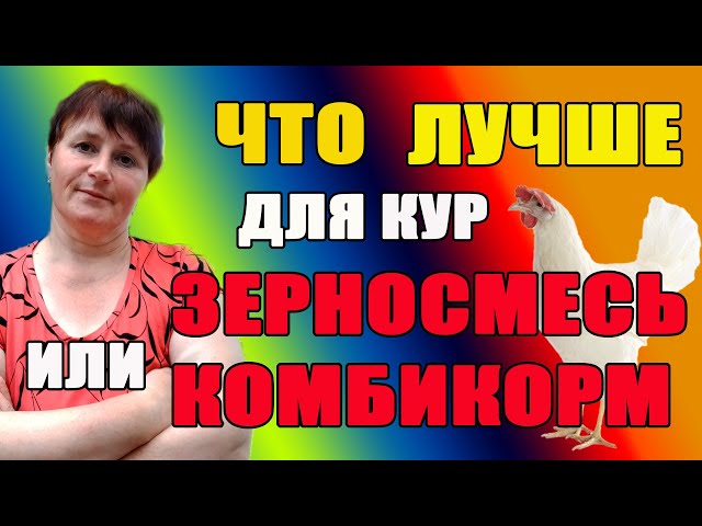 Какой комбикорм для кур лучше