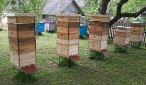 Выноска ульев ранней весной