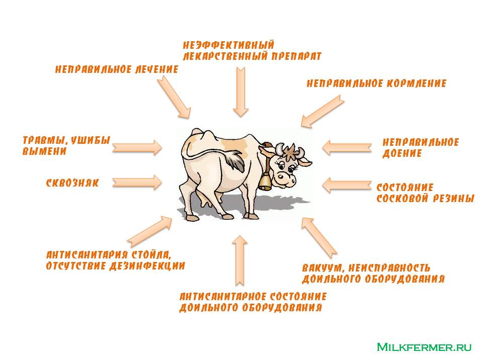 Ушиб
