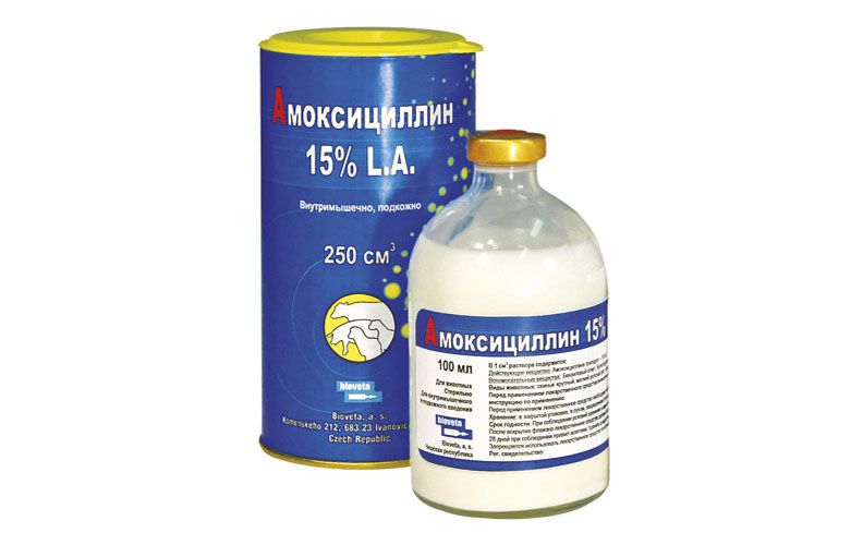 Для взрослых