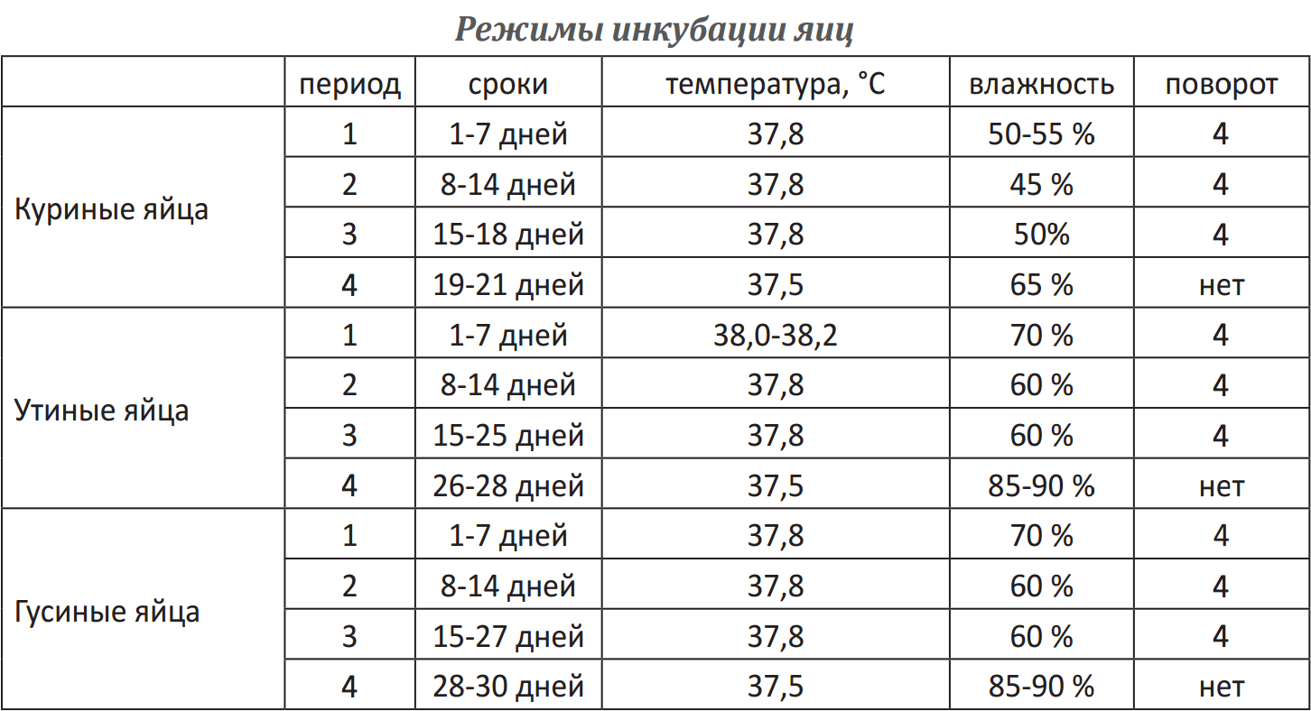 Хранение яиц перед инкубацией