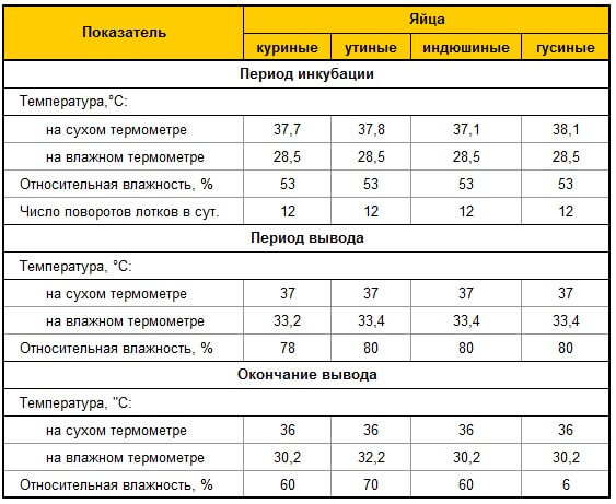Готовность к вылуплению