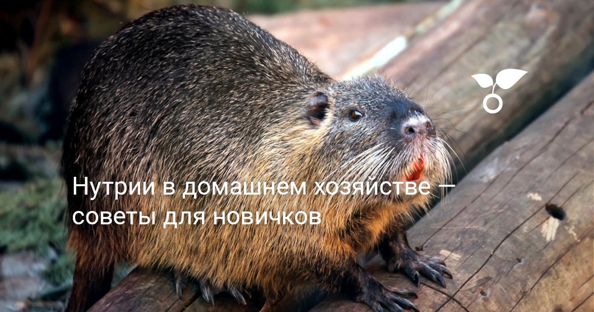Что делать дальше?
