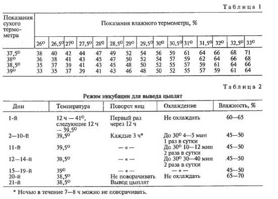 Переворачивание яиц