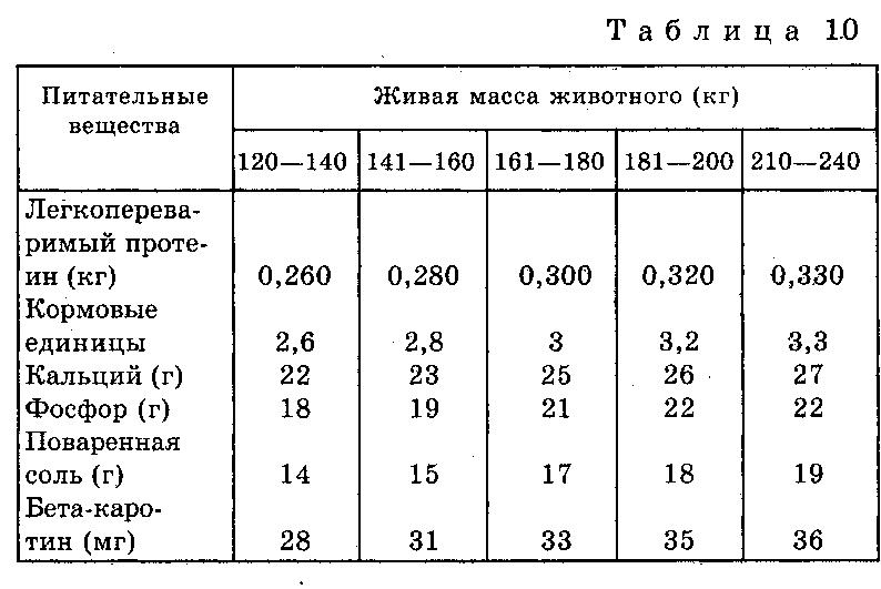 Все тонкости процесса спаривания