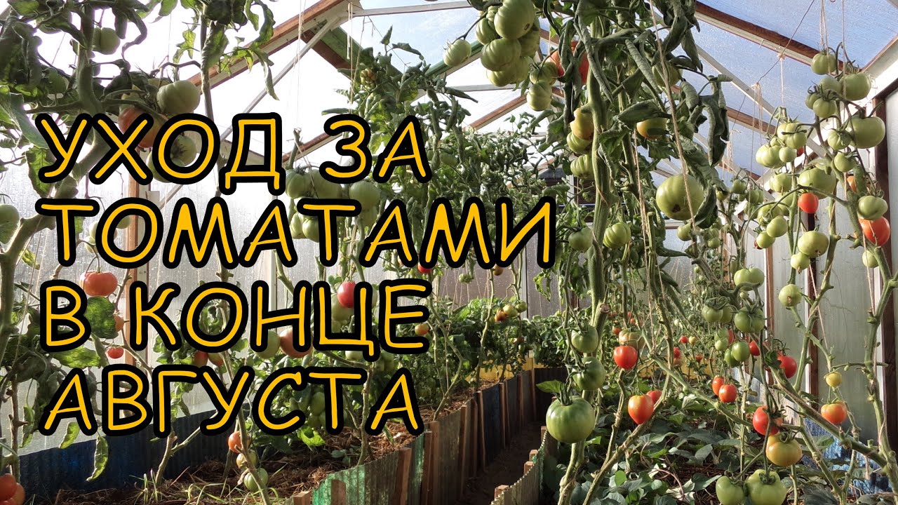 2. Замульчируйте грядки