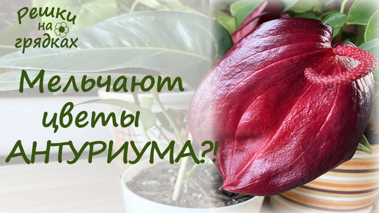 Причины недостатка питательных веществ в почве