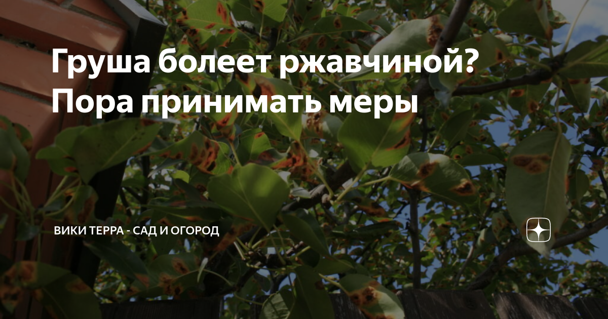 5. Поддержание здоровых условий роста