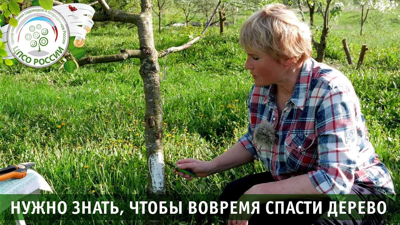 Наблюдение за пациентом