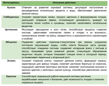 Выбор и применение регуляторов роста и цветения зависит от многих факторов, включая вид растения, его возраст, условия выращивания и желаемый результат. Важно помнить, что неправильное применение регуляторов может негативно сказаться на здоровье растения.