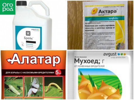 Применение биологических средств защиты