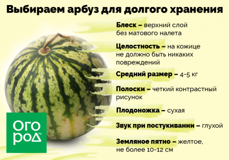 Сорта арбуза для долгого хранения