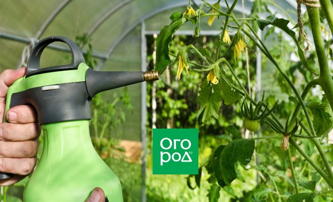 2. Поражение завязей и цветов