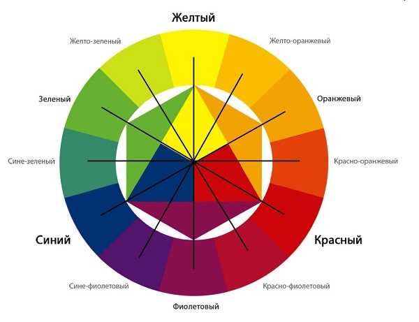 Основы цветового дизайна в саду